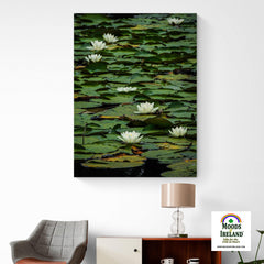 Canvas Wrap - Water Lilies on Dromoland Lough, County Clare - James A. Truett - Moods of Ireland - Irish Art