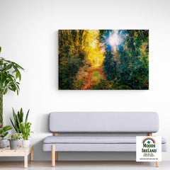 Canvas Wrap - Woodland Path through Paradise, County Clare, Ireland - James A. Truett - Moods of Ireland - Irish Art