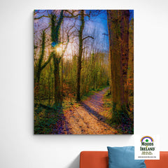 Canvas Wrap - Autumn Path in Dromore Wood, County Clare - James A. Truett - Moods of Ireland - Irish Art
