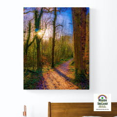 Canvas Wrap - Autumn Path in Dromore Wood, County Clare - James A. Truett - Moods of Ireland - Irish Art