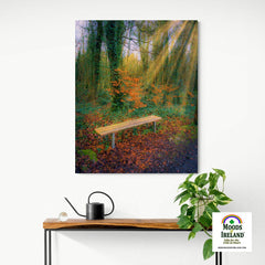 Canvas Wrap - Bench at Dromore Wood in Autumn, County Clare - James A. Truett - Moods of Ireland - Irish Art