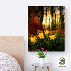 Canvas Wrap - Spring Daffodils at Coole Park, County Galway, Ireland - James A. Truett - Moods of Ireland - Irish Art