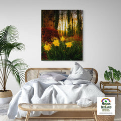 Canvas Wrap - Spring Daffodils at Coole Park, County Galway, Ireland - James A. Truett - Moods of Ireland - Irish Art