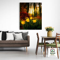 Canvas Wrap - Spring Daffodils at Coole Park, County Galway, Ireland - James A. Truett - Moods of Ireland - Irish Art