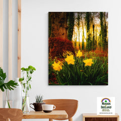 Canvas Wrap - Spring Daffodils at Coole Park, County Galway, Ireland - James A. Truett - Moods of Ireland - Irish Art