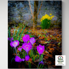 Canvas Wrap - Rebirth of Irish Spring Wildflowers - James A. Truett - Moods of Ireland - Irish Art