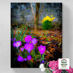 Canvas Wrap - Rebirth of Irish Spring Wildflowers - James A. Truett - Moods of Ireland - Irish Art