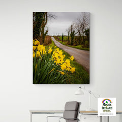 Canvas Wrap - Irish Spring Daffodils on County Clare Country Road - James A. Truett - Moods of Ireland - Irish Art