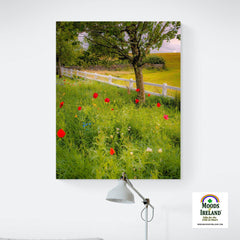 Canvas Wrap - Poppy Field in Ballynacally, County Clare - James A. Truett - Moods of Ireland - Irish Art