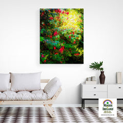 Canvas Wrap - Wild Fuchsias Frollicking in the County Clare Countryside - James A. Truett - Moods of Ireland - Irish Art