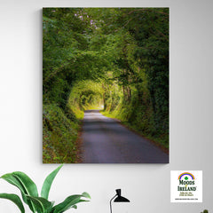Canvas Wrap - Green Tunnel, County Clare, Ireland - James A. Truett - Moods of Ireland - Irish Art