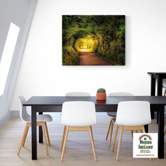 Canvas Wrap - Green Tunnel in Lavalla, County Clare - James A. Truett - Moods of Ireland - Irish Art