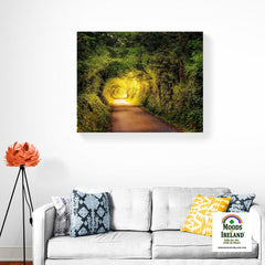 Canvas Wrap - Green Tunnel in Lavalla, County Clare - James A. Truett - Moods of Ireland - Irish Art