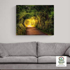 Canvas Wrap - Green Tunnel in Lavalla, County Clare - James A. Truett - Moods of Ireland - Irish Art