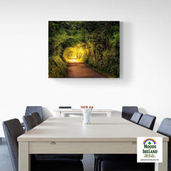 Canvas Wrap - Green Tunnel in Lavalla, County Clare - James A. Truett - Moods of Ireland - Irish Art