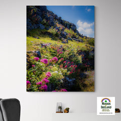 Canvas Wrap - Burren Wildflowers and LImestone, County Clare - James A. Truett - Moods of Ireland - Irish Art