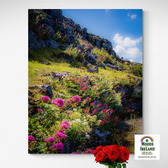 Canvas Wrap - Burren Wildflowers and LImestone, County Clare - James A. Truett - Moods of Ireland - Irish Art