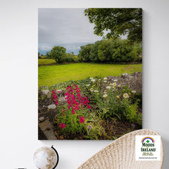 Canvas Wrap - Kildysart Field and Flowers, County Clare - James A. Truett - Moods of Ireland - Irish Art