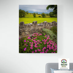 Canvas Wrap - Flowers and Meadow, Kildysart, County Clare - James A. Truett - Moods of Ireland - Irish Art