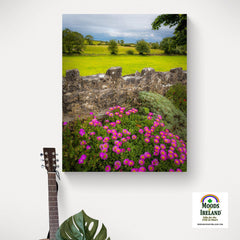 Canvas Wrap - Flowers and Meadow, Kildysart, County Clare - James A. Truett - Moods of Ireland - Irish Art