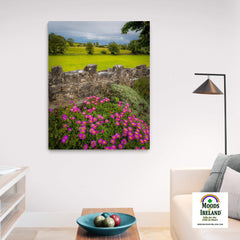 Canvas Wrap - Flowers and Meadow, Kildysart, County Clare - James A. Truett - Moods of Ireland - Irish Art