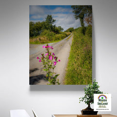 Canvas Wrap - The Road Home, Lanna, County Clare - James A. Truett - Moods of Ireland - Irish Art