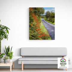 Canvas Wrap - Orange Wildflower Cascade along Irish Country Road - James A. Truett - Moods of Ireland - Irish Art