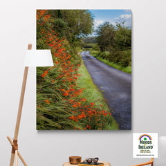 Canvas Wrap - Orange Wildflower Cascade along Irish Country Road - James A. Truett - Moods of Ireland - Irish Art