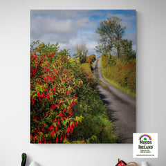Canvas Wrap - Fuchsias Blooming in the Irish Countryside - James A. Truett - Moods of Ireland - Irish Art