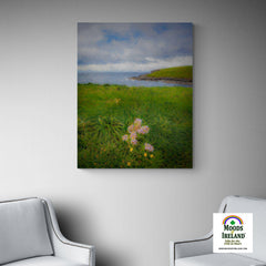 Canvas Wrap -Last Flower of Summer, Kilkee, County Clare Canvas Wrap Moods of Ireland 