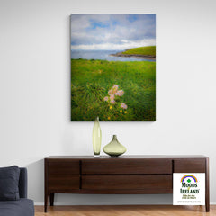 Canvas Wrap -Last Flower of Summer, Kilkee, County Clare Canvas Wrap Moods of Ireland 