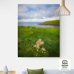 Canvas Wrap -Last Flower of Summer, Kilkee, County Clare Canvas Wrap Moods of Ireland 