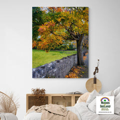 Canvas Wrap - Autumn Tree at Kildysart, County Clare - James A. Truett - Moods of Ireland - Irish Art