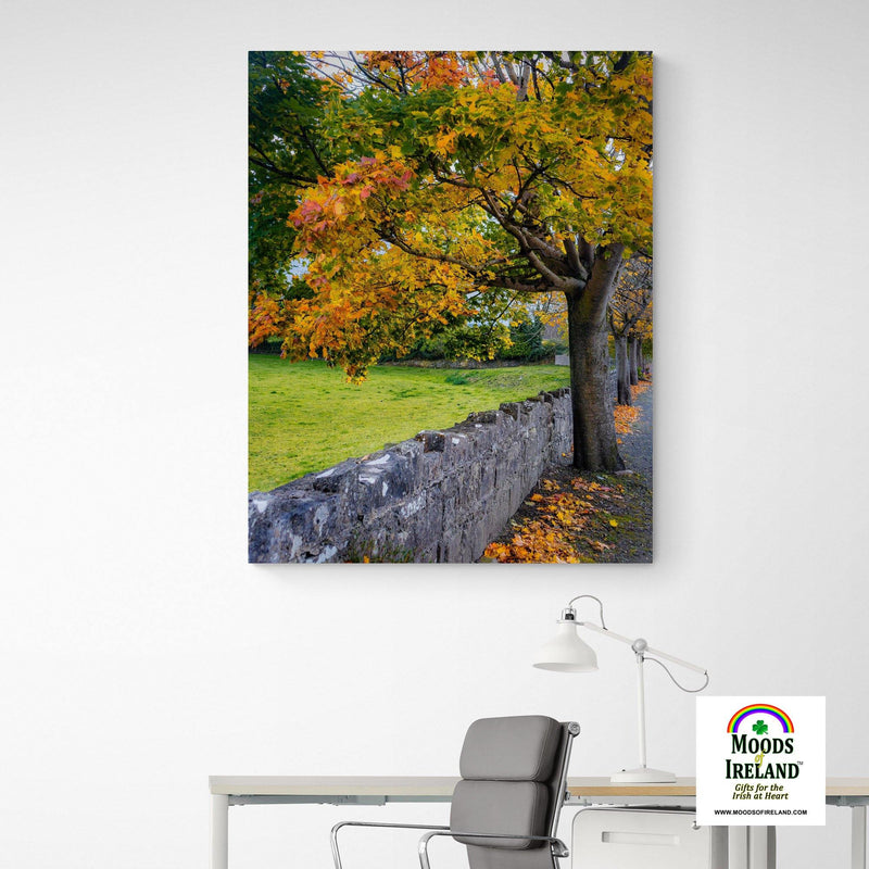 Canvas Wrap - Autumn Tree at Kildysart, County Clare - James A. Truett - Moods of Ireland - Irish Art