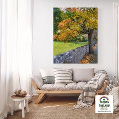 Canvas Wrap - Autumn Tree at Kildysart, County Clare - James A. Truett - Moods of Ireland - Irish Art