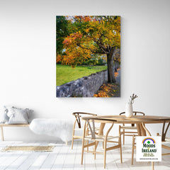 Canvas Wrap - Autumn Tree at Kildysart, County Clare - James A. Truett - Moods of Ireland - Irish Art