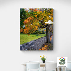 Canvas Wrap - Autumn Tree at Kildysart, County Clare - James A. Truett - Moods of Ireland - Irish Art