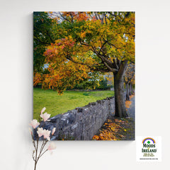 Canvas Wrap - Autumn Tree at Kildysart, County Clare - James A. Truett - Moods of Ireland - Irish Art