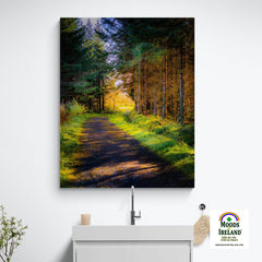 Canvas Wrap - Sunlit path in County Clare - James A. Truett - Moods of Ireland - Irish Art