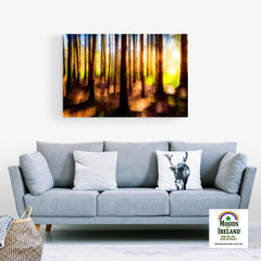 Canvas Wrap - Sun through the Woods Abstract, County Clare - James A. Truett - Moods of Ireland - Irish Art