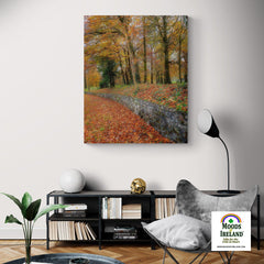 Canvas Wrap - Autumn Colours in Killimer, County Clare - James A. Truett - Moods of Ireland - Irish Art