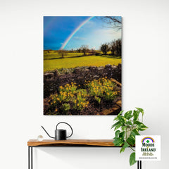 Canvas Wrap - Spring Rainbow and Daffodils, Kildysart, County Clare - James A. Truett - Moods of Ireland - Irish Art