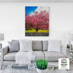 Canvas Wrap - Cherry Blossom Explosion, Ennis, County Clare - James A. Truett - Moods of Ireland - Irish Art