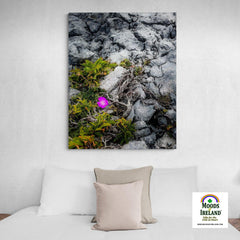 Canvas Wrap - Lone Wildflower in the Burren Limestone - James A. Truett - Moods of Ireland - Irish Art