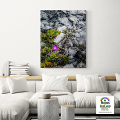 Canvas Wrap - Lone Wildflower in the Burren Limestone - James A. Truett - Moods of Ireland - Irish Art