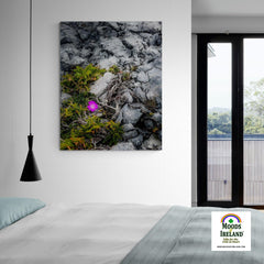 Canvas Wrap - Lone Wildflower in the Burren Limestone - James A. Truett - Moods of Ireland - Irish Art