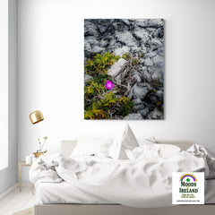 Canvas Wrap - Lone Wildflower in the Burren Limestone - James A. Truett - Moods of Ireland - Irish Art