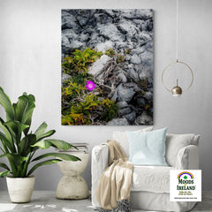 Canvas Wrap - Lone Wildflower in the Burren Limestone - James A. Truett - Moods of Ireland - Irish Art