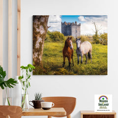 Canvas Wrap - Horses at Ballynagowan Castle, County Clare - James A. Truett - Moods of Ireland - Irish Art