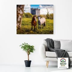 Canvas Wrap - Horses at Ballynagowan Castle, County Clare - James A. Truett - Moods of Ireland - Irish Art